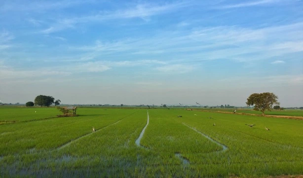 scenic view field against sky 1